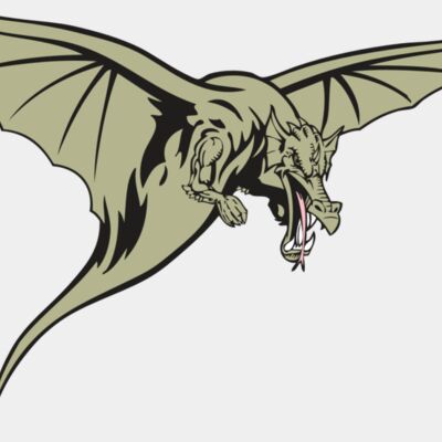 BAW DRAGON 12 RC Thumbnail