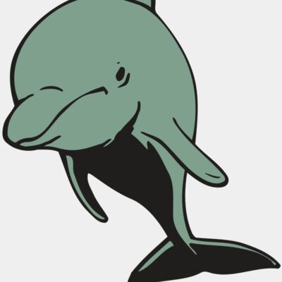 AR DOLPIN 11 RC Thumbnail