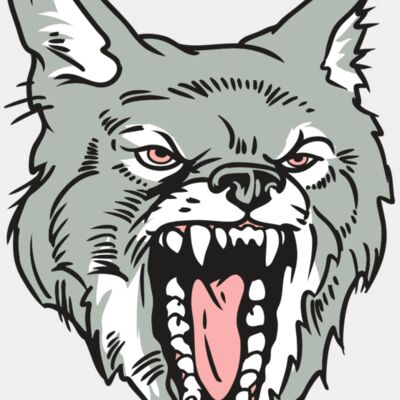 AR32 COYOTE 11 RQC Thumbnail