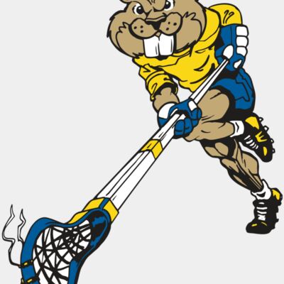 AR8 BEAVER 02 RQC Thumbnail