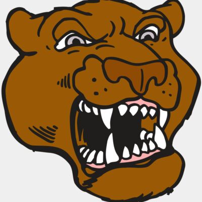 AR5 COUGAR 29 RQC Thumbnail