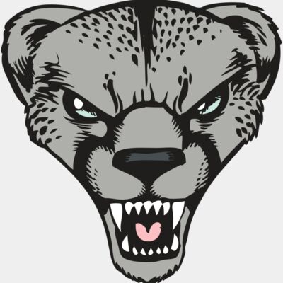 BAW CHEETAH 15 RC Thumbnail