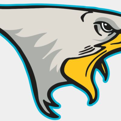 AR14 EAGLE FBALL 01 RQC Thumbnail