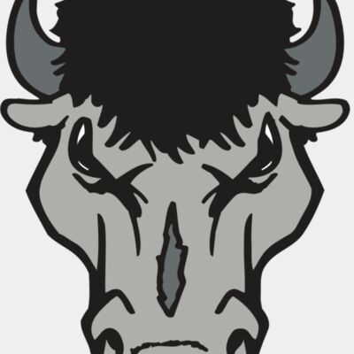 AR BUFFALO 15 RC Thumbnail