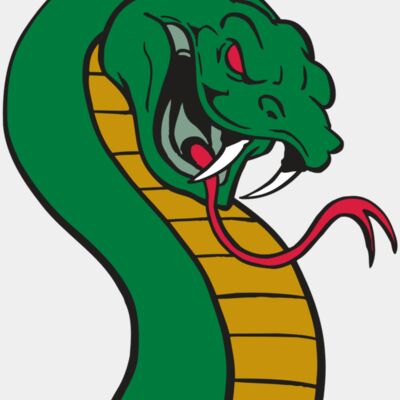 AR SNAKE 12 RC Thumbnail