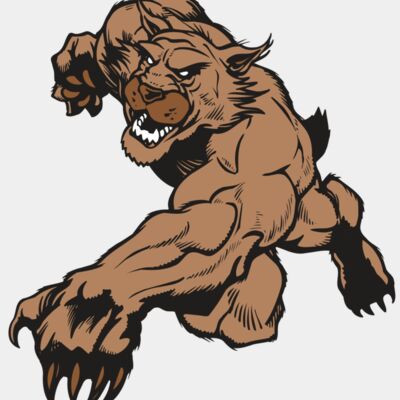 AR WILDCAT 47 RC Thumbnail