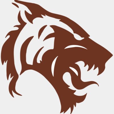 AR5 TIGER 06 RQC Thumbnail