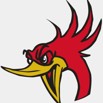 AR31 ROADRUNNER 02 RQC Thumbnail