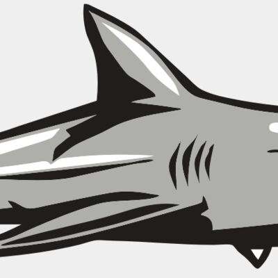 AR9 SHARK 01 RQC Thumbnail