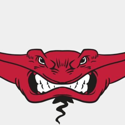 AR19 STINGRAY 03 RQC Thumbnail