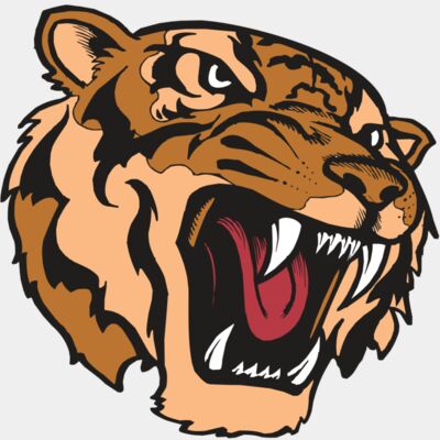 BAW TIGER 07 RC Thumbnail