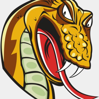 SNAKE HD0502 RQC Thumbnail