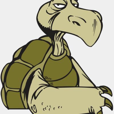 AR5 Turtle 01 RQC Thumbnail