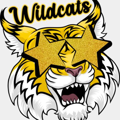 187 Wildcat Star Face School Spirit Thumbnail