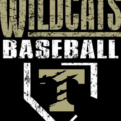 189 Wildcats Baseball School Spirit Thumbnail