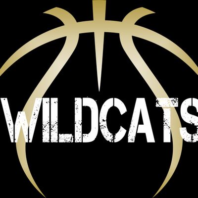 190 Wildcats Basketball School Spirit Thumbnail