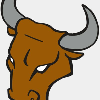Bulls Thumbnail